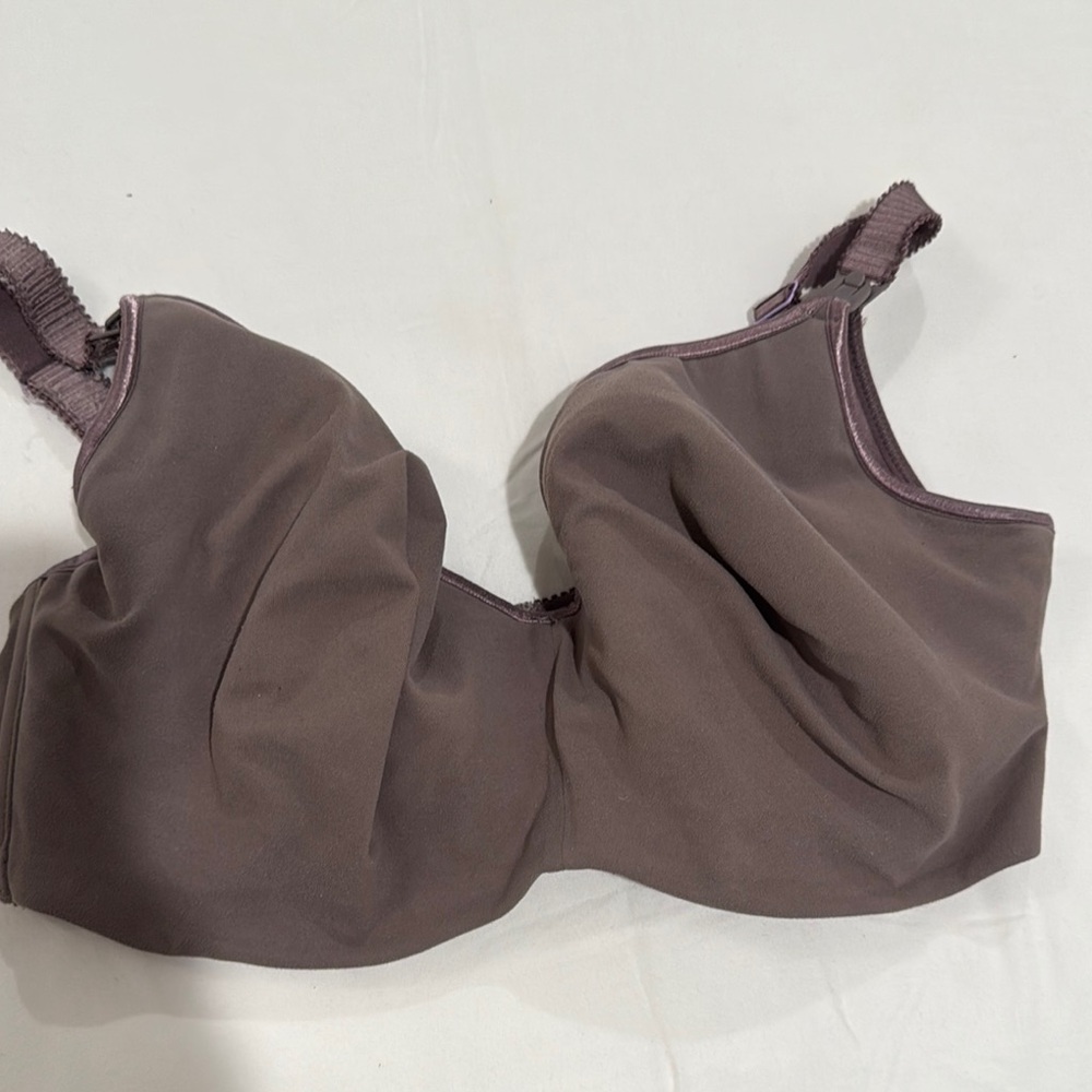 Cake Lingerie Maternity Everyday NursingBra with Molded Cups and wire